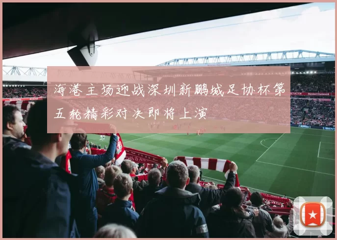 海港主场迎战深圳新鹏城足协杯第五轮精彩对决即将上演
